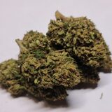  Weed On a Budget 108-90 Central Ave 