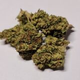  Weed On a Budget 108-90 Central Ave 