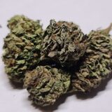 Weed On a Budget, London