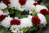 Keates-Plum Funeral Home, Brigantine