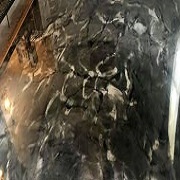  Profile Photos of Epoxy Flooring Lansing 840 E Shiawassee St #3 - Photo 1 of 3