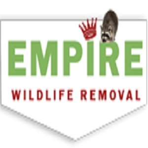  Profile Photos of Richmondhillwildliferemoval - Raccoon Removal And Squrriel Removal 10520 Yonge Street, Suite No. 405 unit 35b - Photo 1 of 1