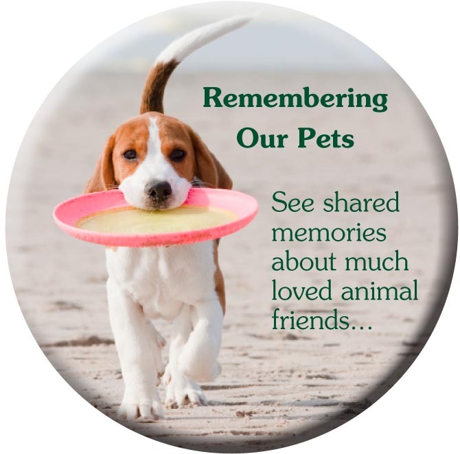  Profile Photos of Quinn Funeral Home, Inc. 728 W 9th St - Photo 11 of 13