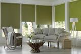 Jacksons Blinds, Gateshead