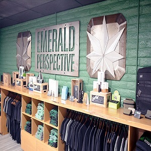  Profile Photos of Emerald Perspective 100 W Pleasant Valley Rd - Photo 2 of 4