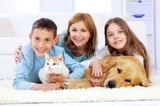 EXPERT PET CARPET CLEANER, Chem-Dry of Allen County IV, Columbia City