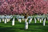  Harrigan Parkside Funeral Home and Crematory 628 N Water St 