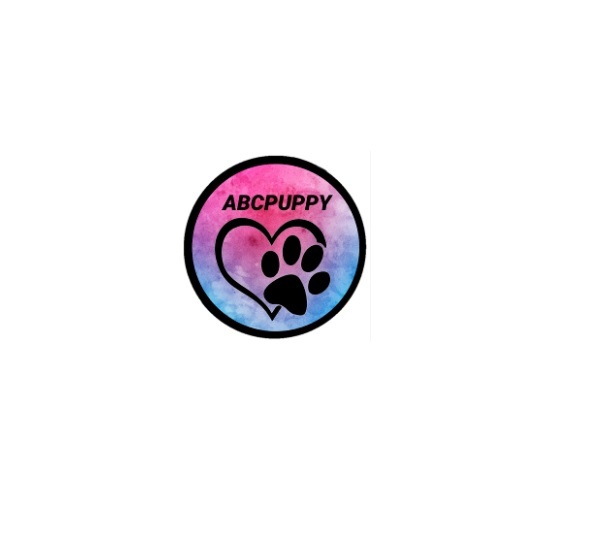  Profile Photos of ABCPUPPY N/A - Photo 1 of 1