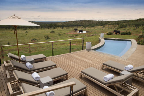  Profile Photos of Mhondoro Safari Lodge & Villa Welgevonden Game Reserve, Mhondoro Safari Lodge & Villa (Site 40) - Photo 2 of 4