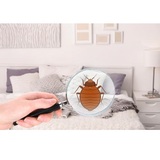  Bed Bug Sniffers 536 Wood St. 