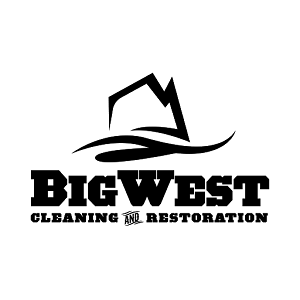  Profile Photos of Big West Carpet Cleaning 646 S 100 W - Photo 1 of 2