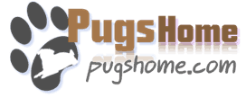  Profile Photos of Pugs Home 13205 Fieldgate Dr - Photo 1 of 2