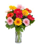  Baker Florist 1616 N Walnut St 