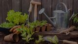 Turf Management Services Melbourne at Green Kings Landscaping, Green Kings Landscaping, Tarneit