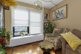 Interiors by Harriet, Bronx