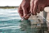 Jomo Pool Service,  