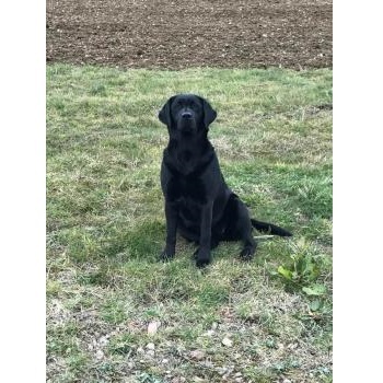  Profile Photos of North Dallas POOP 911 â€‹ â€‹ - Photo 4 of 4