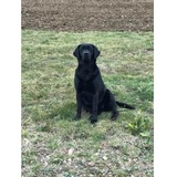  North Dallas POOP 911 â€‹ â€‹ 