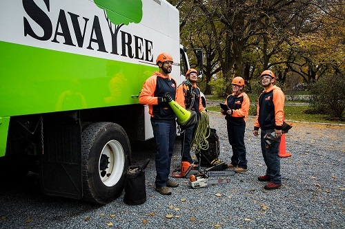  New Album of SavATree - Tree Service & Lawn Care 15558 East Hinsdale Circle - Photo 3 of 3