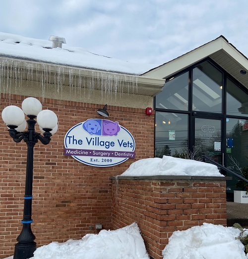  Profile Photos of The Village Vets 699 W Germantown Pike - Photo 2 of 3