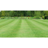 Monson Lawn & Landscaping, Saint Paul