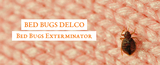 Bed Bugs Delco, Clifton Heights