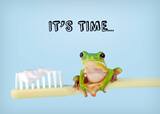  Davis Dental Care 1133 North Main Street 