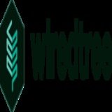 Wired Tree Managed Dedicated Servers, VPS Hosting, Chicago