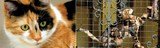 Orchard Farm Kennels, Outwood