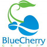 Blue Cherry Group, New York