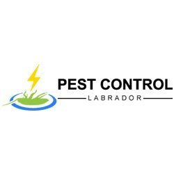  Profile Photos of Pest Control Labrador 106-116 Whiting St - Photo 1 of 1