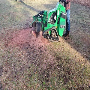  Profile Photos of Stump N Grind LLC 320 Speedway Pl NW - Photo 3 of 4