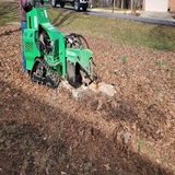 Stump N Grind LLC, Concord