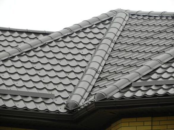  Profile Photos of Jacksonville Metal Roofing 300 W Adams St - Photo 1 of 8