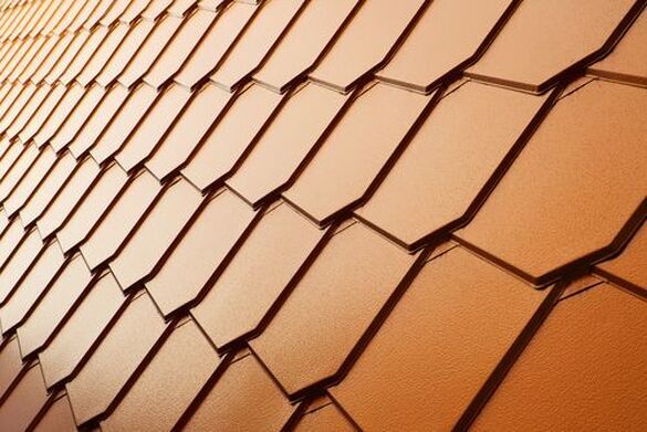  Profile Photos of Jacksonville Metal Roofing 300 W Adams St - Photo 4 of 8
