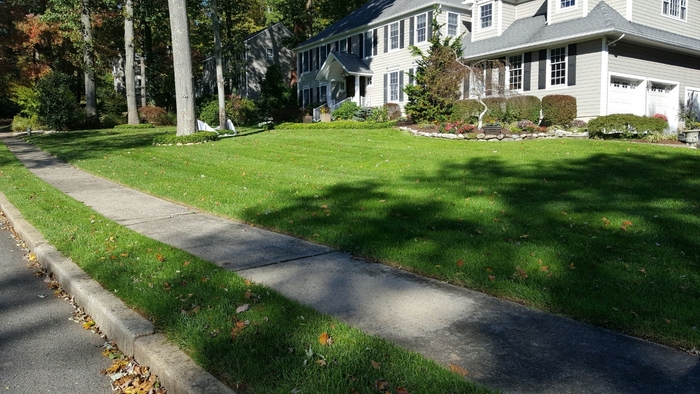 middletown Dirt & Turf of Dirt & Turf 371 Hoes Ln Suite 200 - Photo 4 of 5