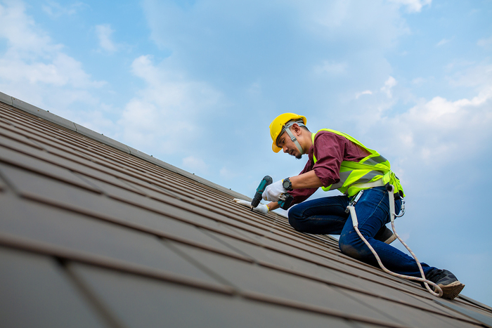  Profile Photos of Paradox Roofing 4789 Sunrise Cir - Photo 1 of 1