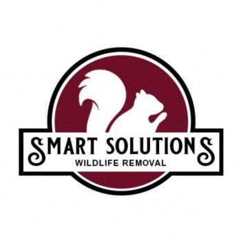  Profile Photos of Smart Solutions Wildlife Removal 1050 Northfield Court, Suite 345 - Photo 1 of 1