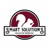Smart Solutions Wildlife Removal, Roswell