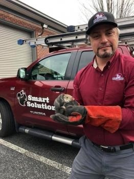  Smart Solutions Wildlife Removal of Smart Solutions Wildlife Removal 1050 Northfield Court, Suite 345 - Photo 1 of 3
