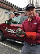 Smart Solutions Wildlife Removal, Roswell