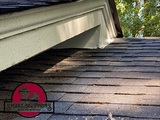 Smart Solutions Wildlife Removal, Roswell