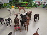                                , Dogs HQ - Dog Trainers & Groomers Melbourne, Abbotsford, Melbourne