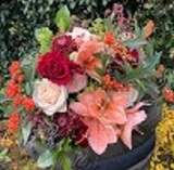 The Flower Studio Belfast, Belfast