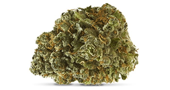 Profile Photos of 420 Love Hamilton Cannabis Store - Gage & Main 976 Main St East - Photo 3 of 4