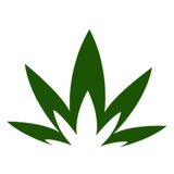 Darknetweed, St Katherines
