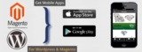 Wordpress & Magento app development, I Can Infotech, Ahmedabad