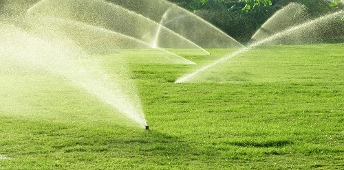  New Album of AM Irrigation 1095 N Tamiami Trail - Photo 1 of 2