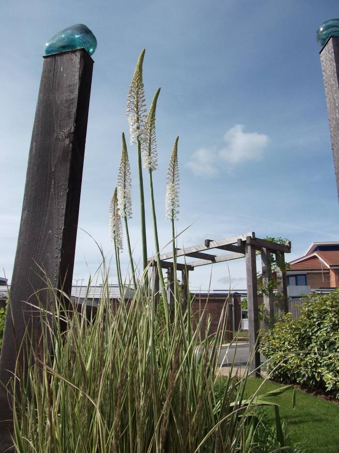 Combining planting and sculptures Profile Photos of C.A.R. Gardens Winton Street - Photo 25 of 41