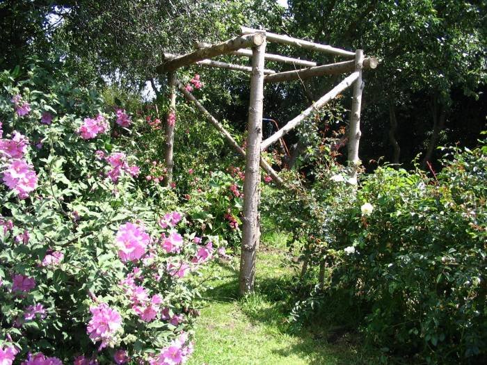 Rustic arches and other structures Profile Photos of C.A.R. Gardens Winton Street - Photo 29 of 41